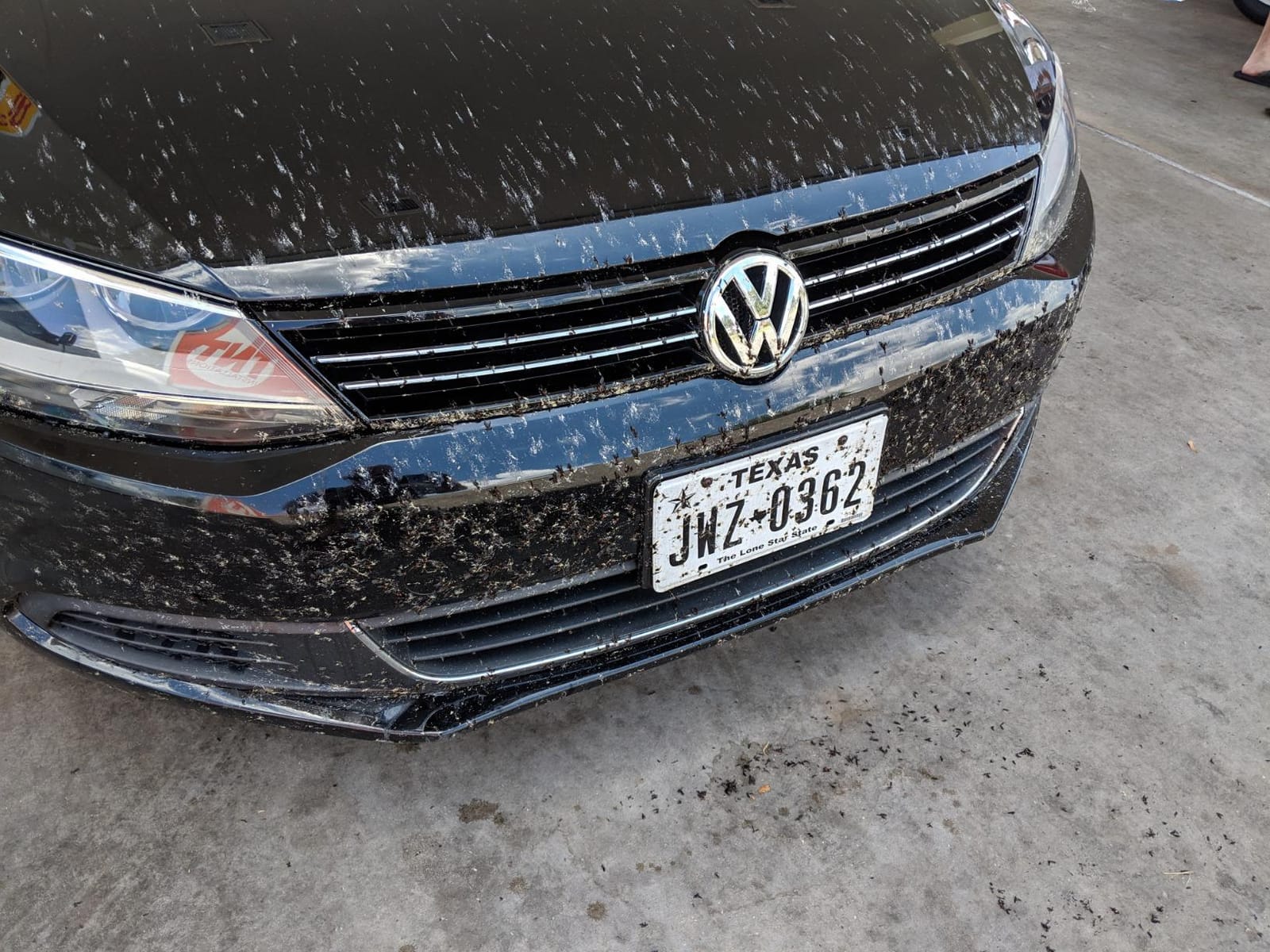 Griot's Garage Paint Cleaning Clay for Car Detailing, Removes Dirt and Grime to Prep Paint for Polishing and Waxing, 11153, 8oz customer photo 2
