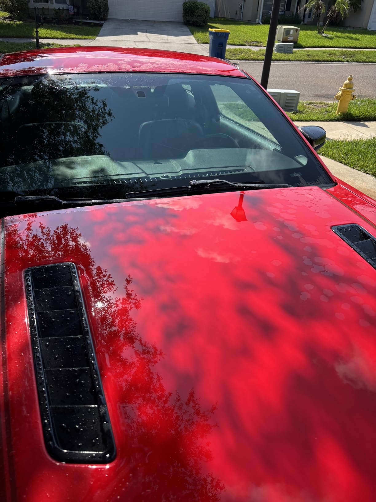 AvalonKing Armor Shield IX - DIY Ceramic Coating Kit for Cars - High Gloss, Hydrophobic & 2-Year Protection - Easy Home Application - Paint, Glass, Rims & Trim - 30ml customer photo 1